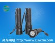 SW2101強(qiáng)光手電_SW2101生產(chǎn)廠家_SW2101價(jià)格